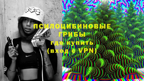 дживик Аркадак