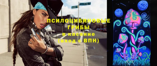 дживик Аркадак