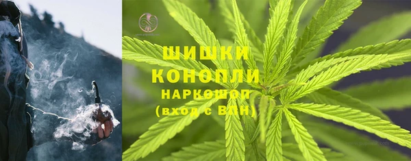 дживик Аркадак