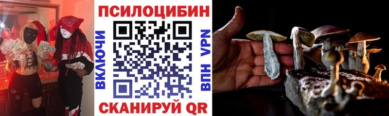 магазин продажи   Сретенск  Галлюциногенные грибы Cubensis 